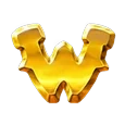 Wild symbol