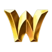 Wild symbol