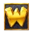 Wild symbol