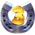 Pirots 3 upgrade symbol, a silver horseshoe