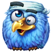 Pirots X blue sailor parrot